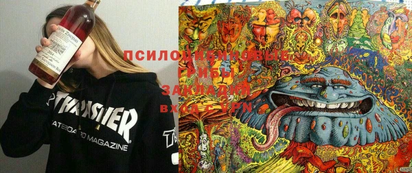 PSILOCYBIN Арсеньев