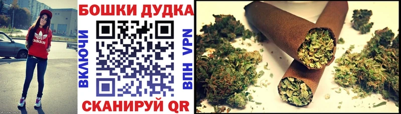 Бошки Шишки White Widow  где купить наркоту  Моздок 